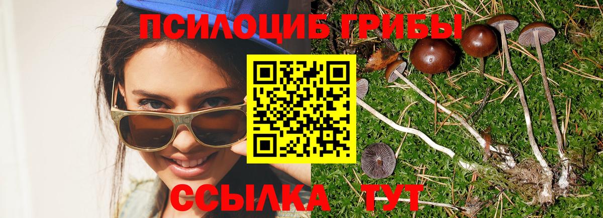 Кувандык  Галлюциногенные грибы мицелий  что такое наркотик  Псилоцибиновые грибы мухоморы  Вход с VPN 