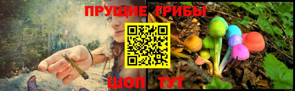 Галлюциногенные грибы мицелий Кувандык